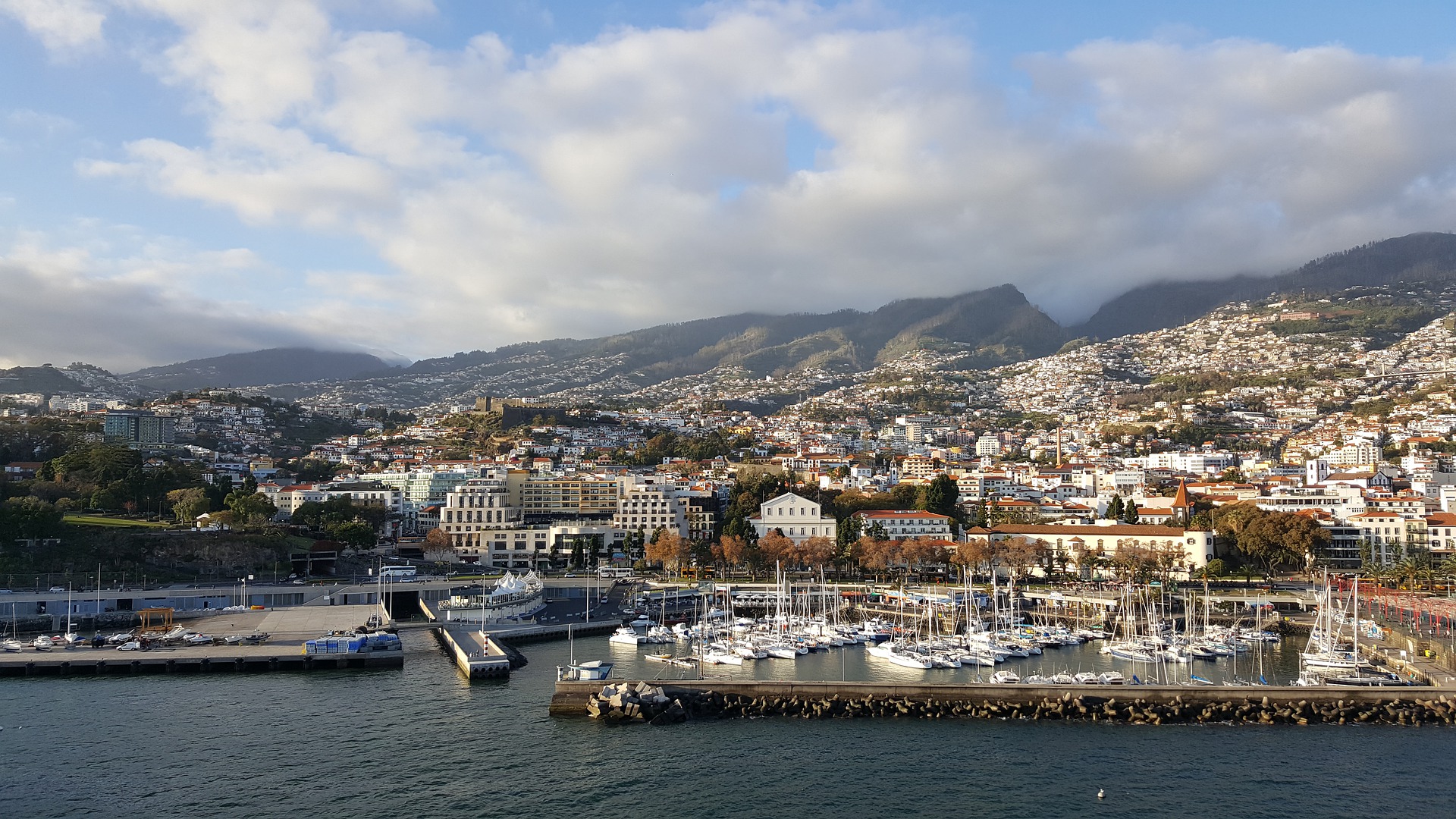 Hafen Funchal