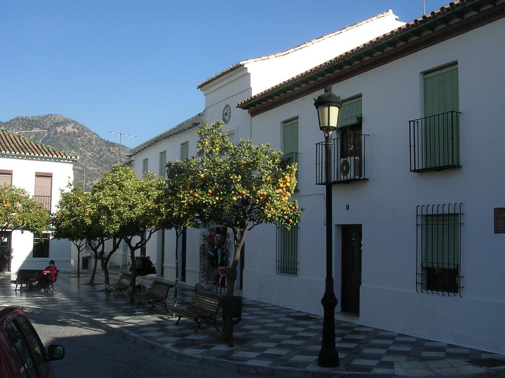Orangenbäume in Benalmádena Pueblo