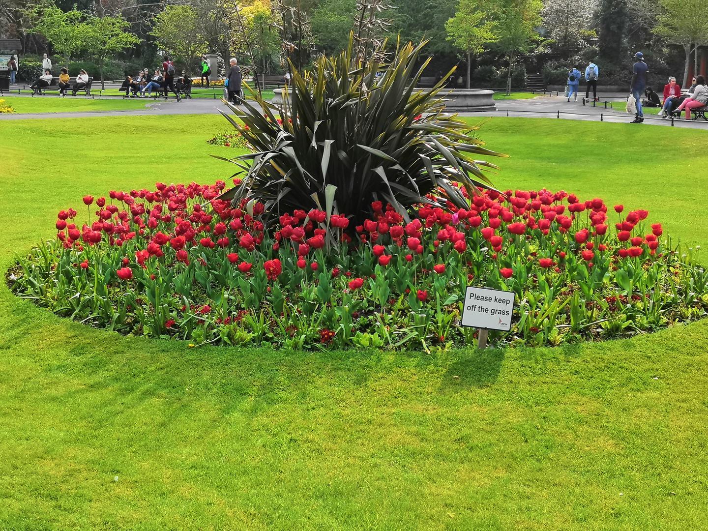 Blumenbeet in St. Stephan´s Green