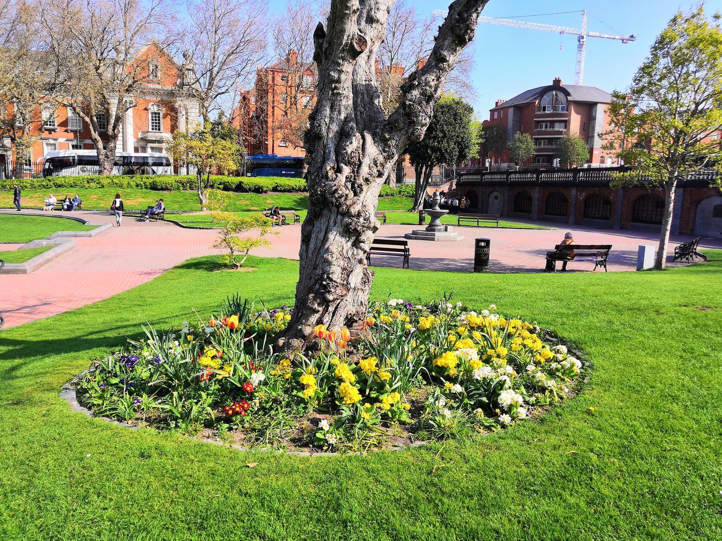 Parkanlage St. Patrick's Cathedral