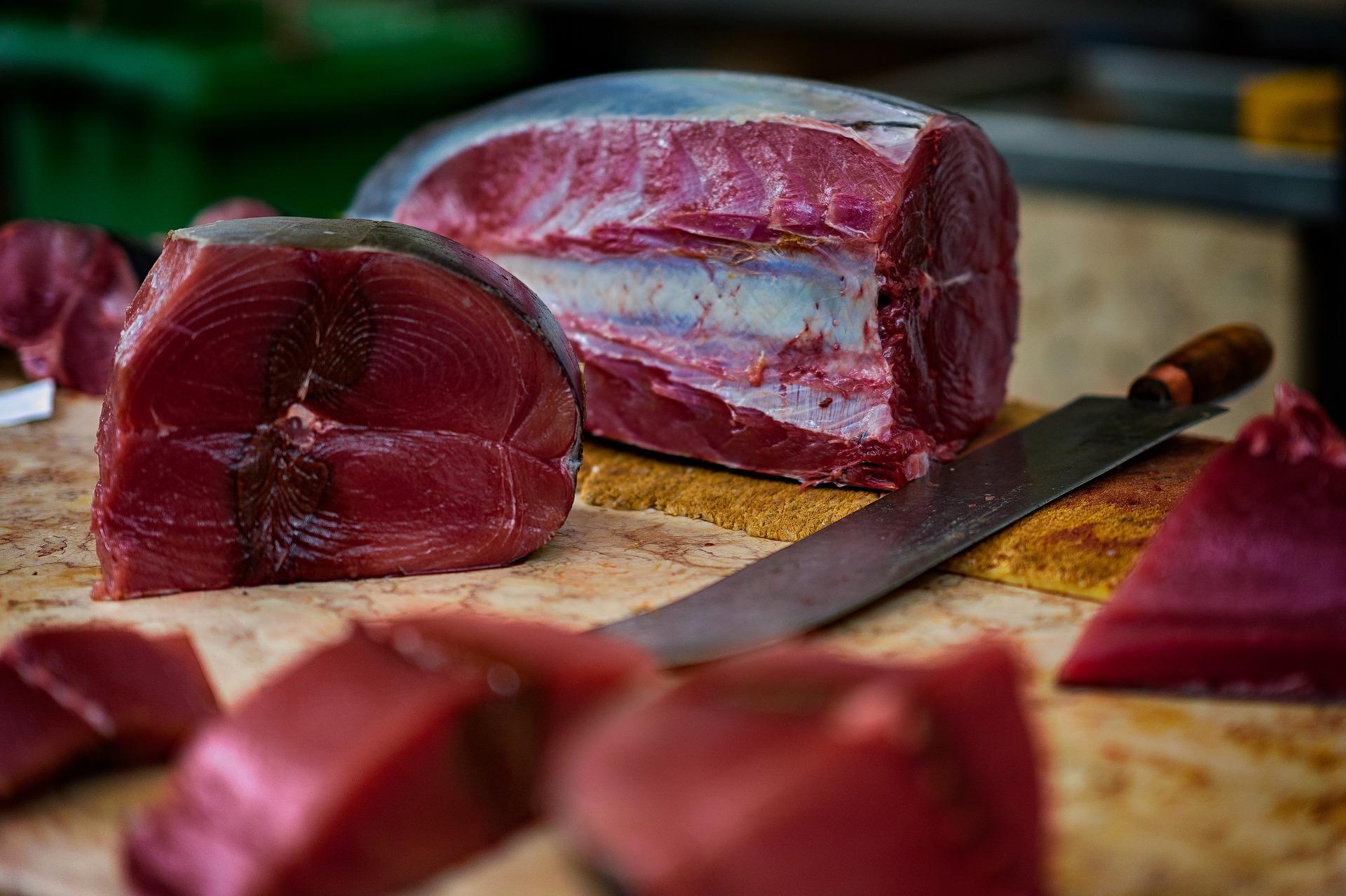 Frisch gefangener Thunfisch