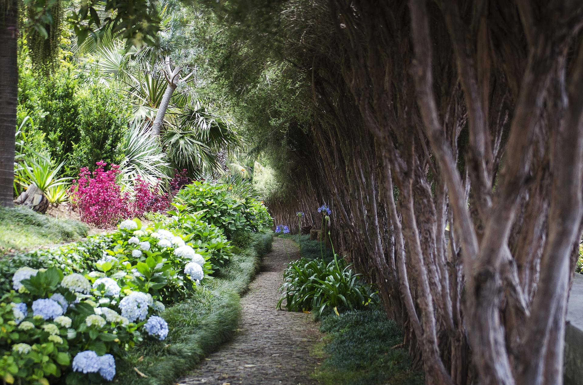 Weg durch den botanischen Garten