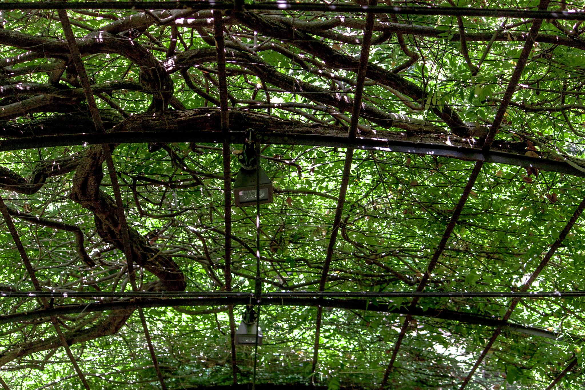 Jardín Botánico Histórico La Concepción