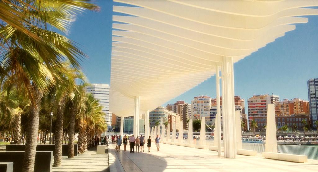 Palmgarten der Überraschungen