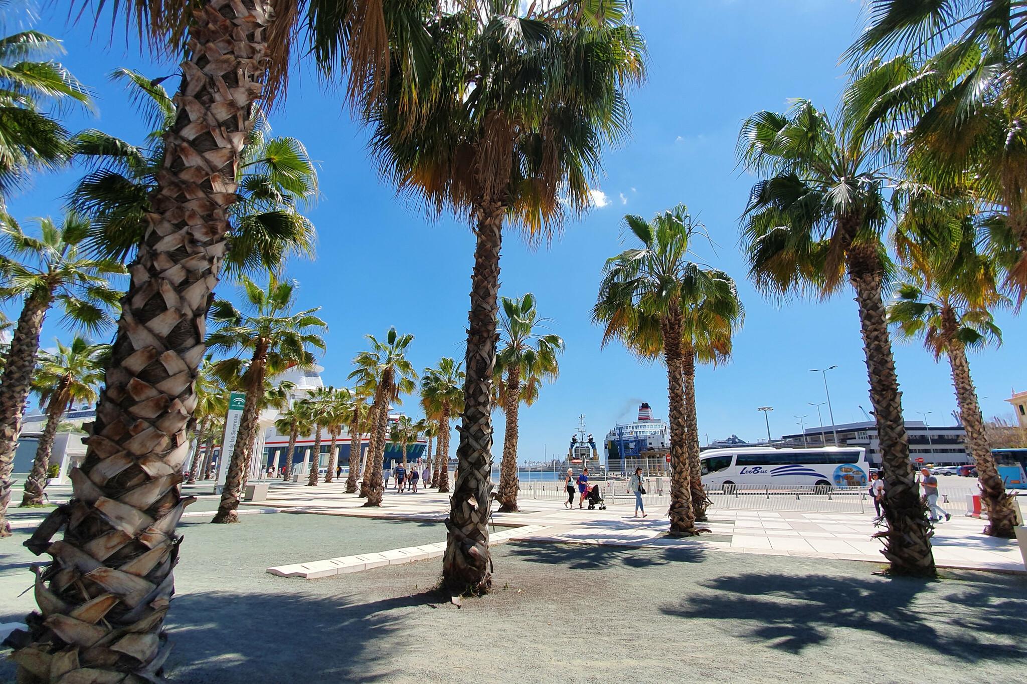 Promenade - Paseo del Muello Uno