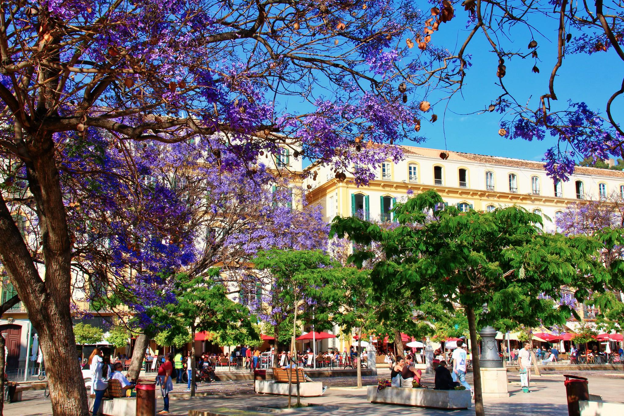 Plaza de la Merced im Frühling