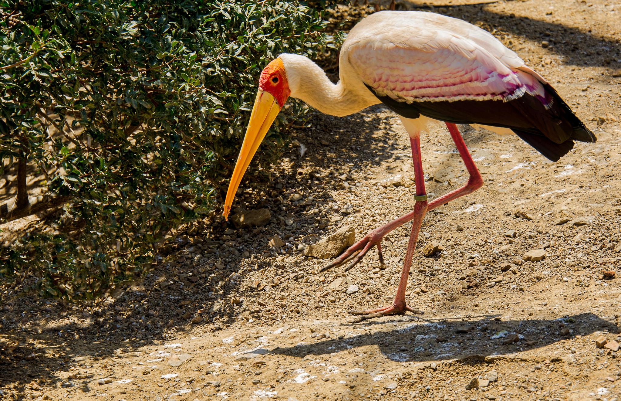 Selwo Adventure Park