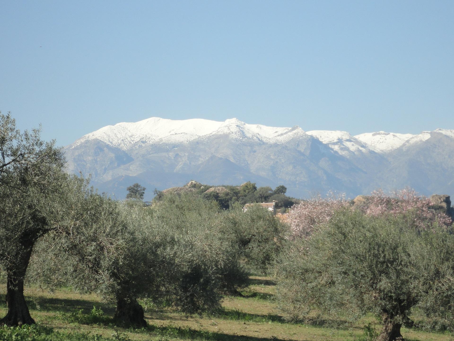 Sierra de las Nieves