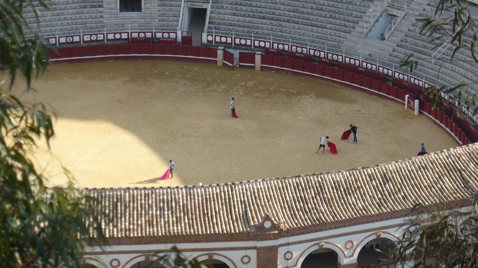 Training in der Stierkampfarena