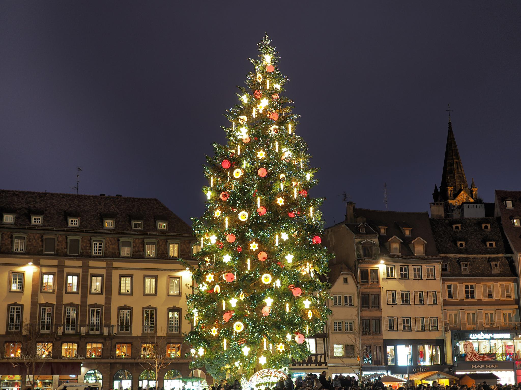Weihnachtsbaum in der Altstadt