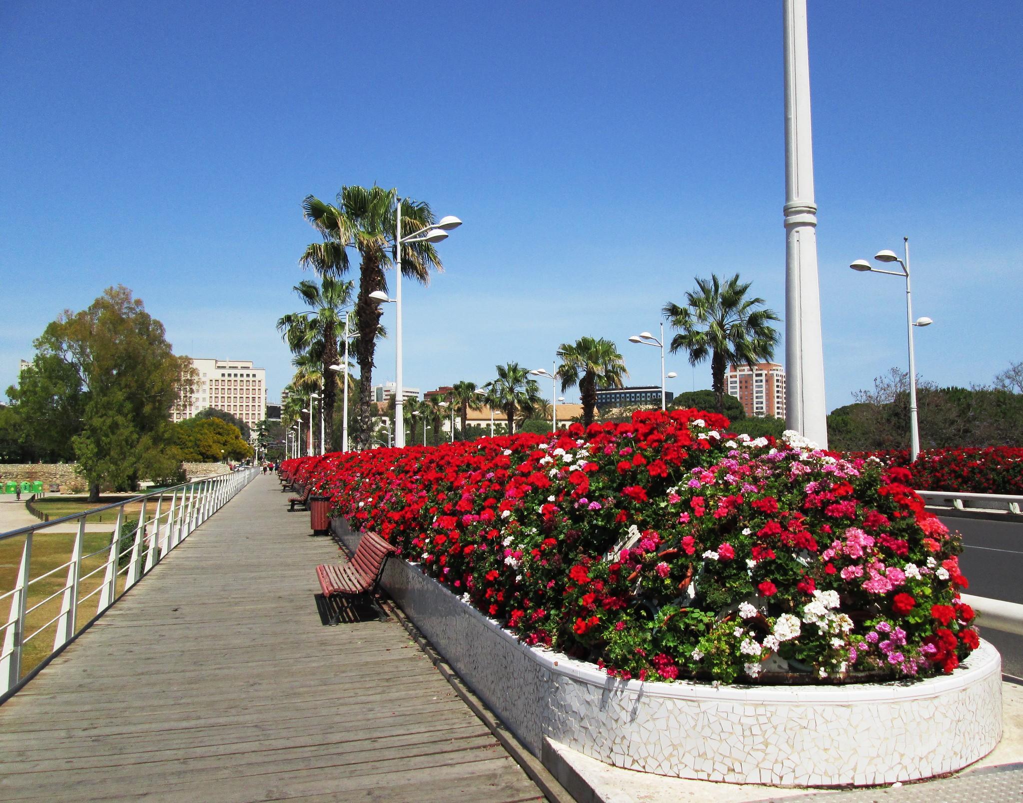 Blumenbeet Jardines del Turia