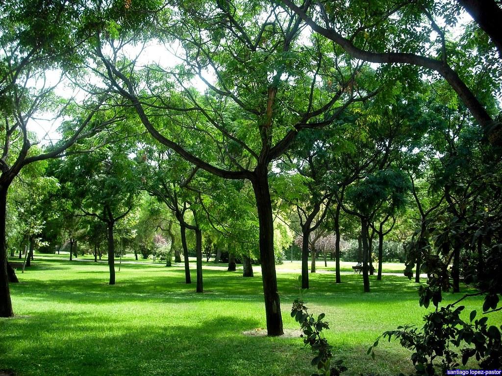 Parklandschaft Jardines del Turia